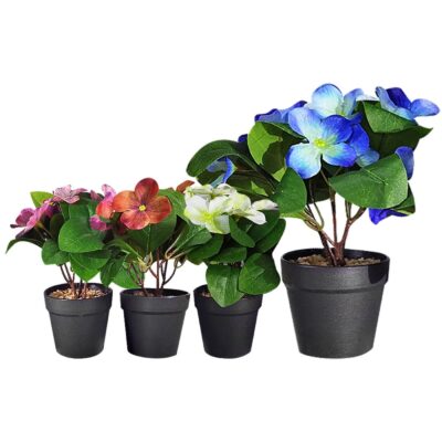 Γλαστράκι Μαύρο Πλαστικό με Χώμα & Λουλούδι Ανοιχτά Φύλλα 22x8cm Homie 423036