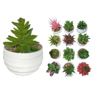 Γλαστράκι Πλαστικό Οβάλ με Φυτό 10x7cm Homie 423044