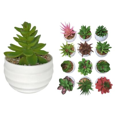 Γλαστράκι Πλαστικό Οβάλ με Φυτό 10x7cm Homie 423044