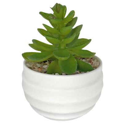 Γλαστράκι Πλαστικό Οβάλ με Φυτό 10x7cm Homie 423044