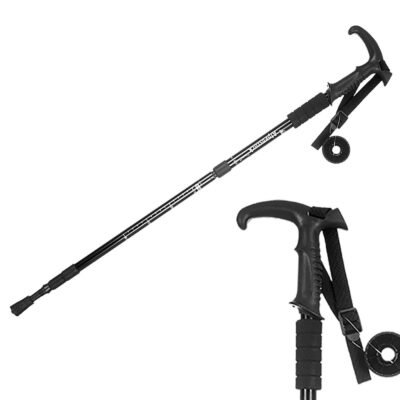 Μπαστούνι Πεζοπορίας 53-109cm 4teen4ty 27125