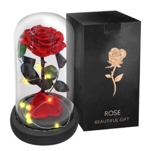 22-3010.jpg Παντοτινό Τριαντάφυλλο σε Γυάλα 22x14cm Homie 423030