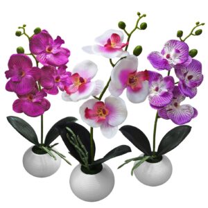 Γλαστράκι Στρογγυλό με Τουλίπες 34x8cm Homie 423037