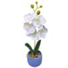 Γλαστράκι Ορχιδέες με Χώμα & Βότσαλα 34cm Homie 423122