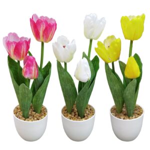 22-3103.jpg Γλαστράκι 3 Τουλίπες 34cm Homie 423123