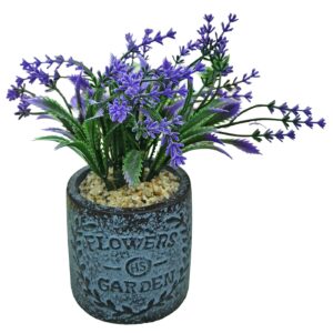 22-3107.jpg Γλαστράκι Λεβάντα Πήλινο Flower Garden 18x8cm Homie 423127