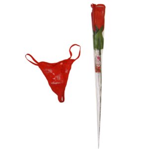 Τριαντάφυλλο Στρινγκ 43cm Homie 42531