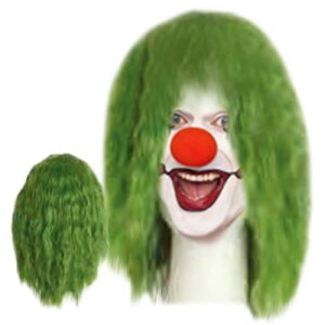 Περούκα Πράσινος Κλόουν  Carnavalista 232215