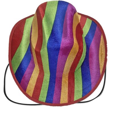 Καπέλο Ύφασμα Ροντέο Ουράνιο Τόξο με Σχοινί  Carnavalista 232339