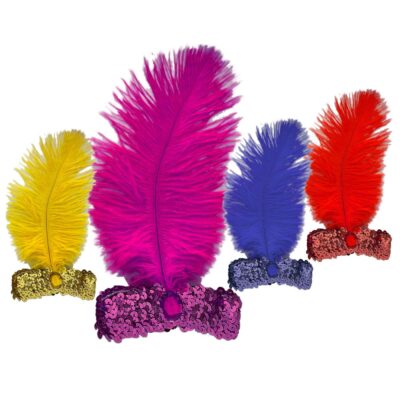 Κορδέλα με Φτερό-Πετράδι 22x15cm Carnavalista 23815