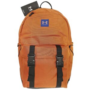 Σακίδιο Πλάτης Under Armour με Λουράκια Μπροστά 47x32x17cm Under Armour