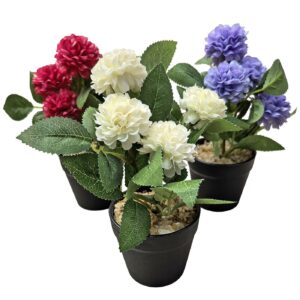 Γλαστράκι Μαύρο με Χώμα & Χρυσάνθεμα 20x ø7,5cm Homie 423035