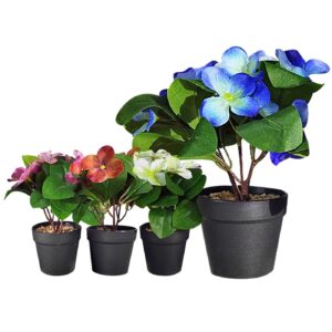 Γλαστράκι Μαύρο Πλαστικό με Χώμα & Λουλούδι Ανοιχτά Φύλλα 22x8cm Homie 423036