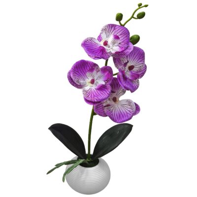 Γλαστράκι Στρογγυλό με Τουλίπες 34x8cm Homie 423037