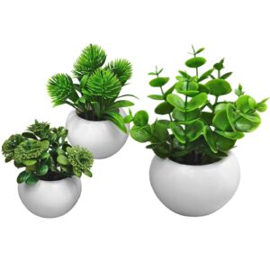 Γλαστράκι Πλαστικό Οβάλ με Φυτό 10x7cm Homie 423044