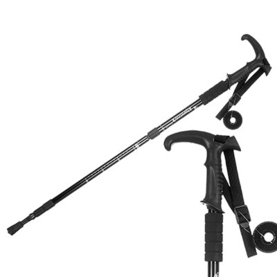 Μπαστούνι Πεζοπορίας 53-109cm 4teen4ty 27125