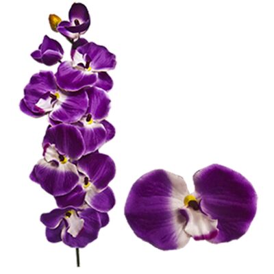 Ορχιδέα Κλαδί 63cm Bunny's 93652