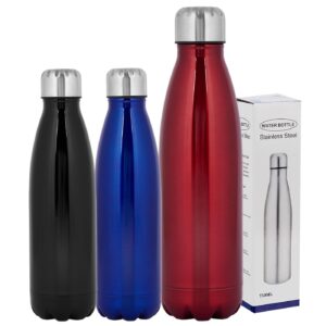 Θερμός Μπουκάλι Στενό Στόμιο 27x7cm 750ml Homie 1001958