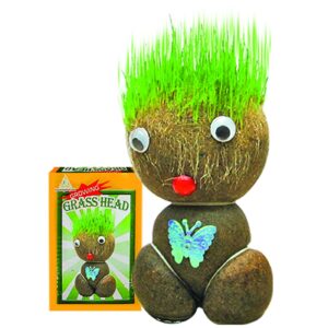 96-252 Φυτρούλης 12cm Homie 116272