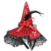Στέκα Καπέλο Μάγισσας με Πούλιες 26x20cm Carnavalista 232473