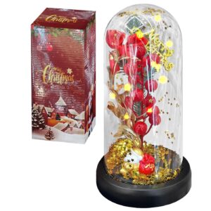 93-3951 Γυάλα με Φως, Κλαδί Γκι, Άγιο Βασίλη 22x11cm Xmasfest 1133971