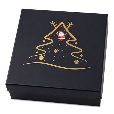 Κουτι Χάρτινο Χριστουγεννιάτικο 17x17x8cm Xmasfest 1134140